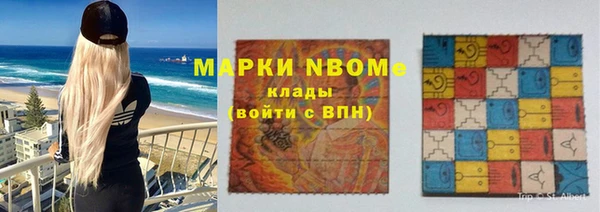 трава Корсаков