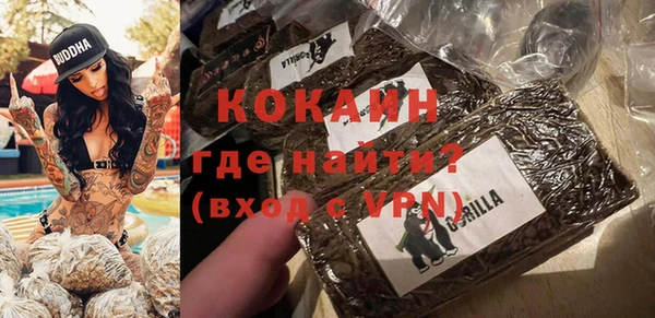 индика Краснотурьинск