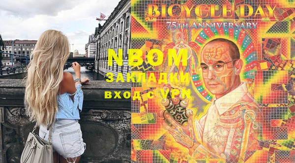 индика Костерёво