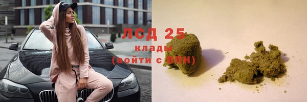 индика Костерёво