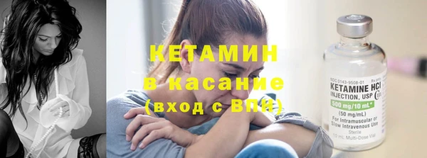 трава Корсаков