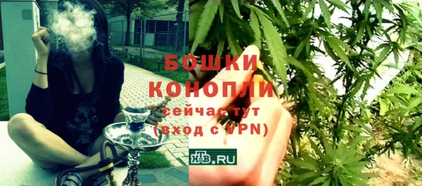 трава Корсаков
