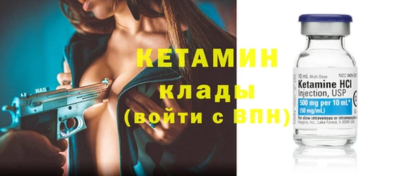 индика Костерёво