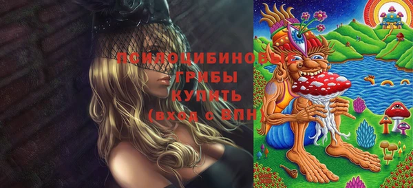трава Корсаков