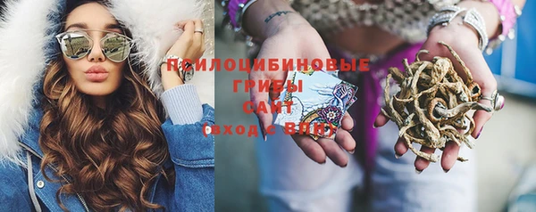 трава Корсаков