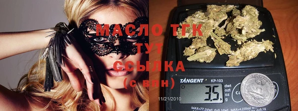 индика Костерёво